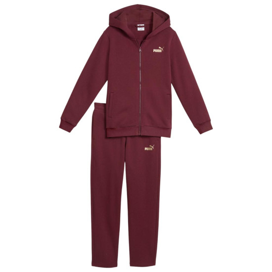 Puma Παιδικές φόρμες σετ Metallic Hooded Sweat Suit